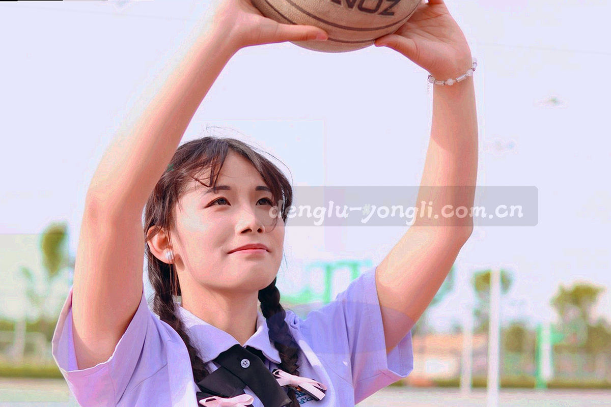 俯视视角的抽象地图图例，山东沿海坐标点与等高线以青瓷绿描边